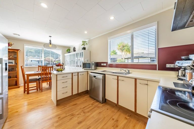 Photo of property in 19 Denver Grove, Totara Park, Upper Hutt, 5018