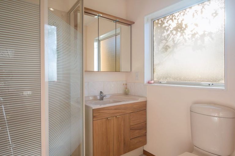 Photo of property in 3 Lorimer Lane, Richmond, 7020