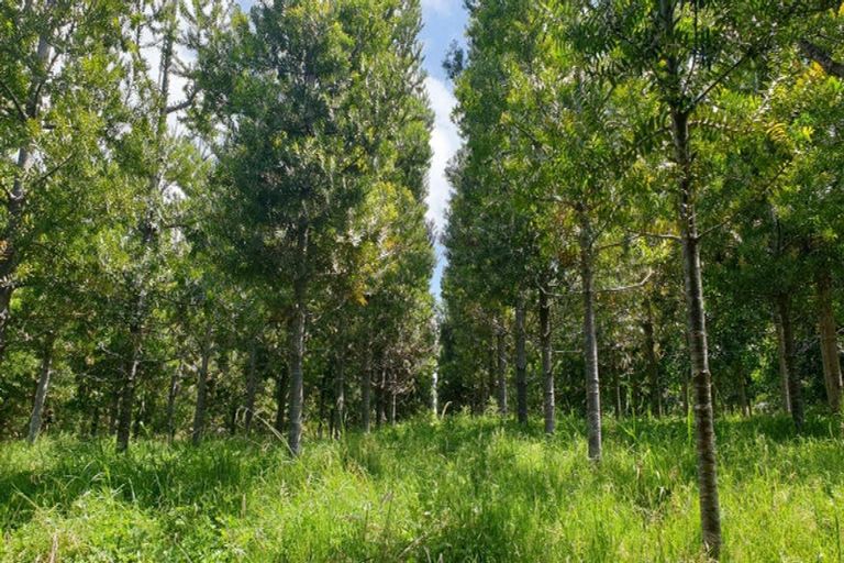 Photo of property in 521b Kauaeranga Valley Road, Thames, 3577