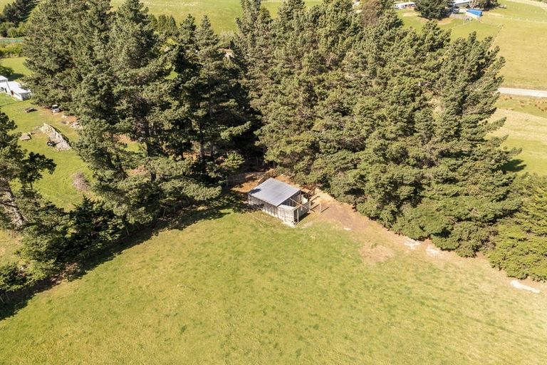 Photo of property in 42 Falcon Street, Palmerston, 9430