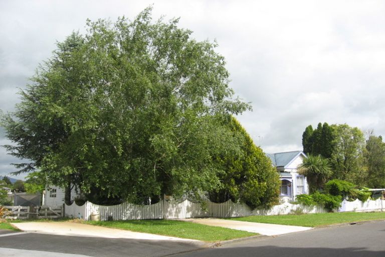 Photo of property in 345 Ohaupo Road, Te Awamutu, 3800
