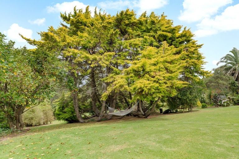 Photo of property in 236 Kiwitahi Road, Helensville, 0875