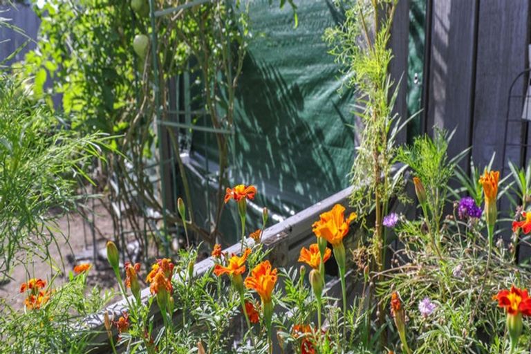 Photo of property in 9 Mary Street, Huntly, 3700