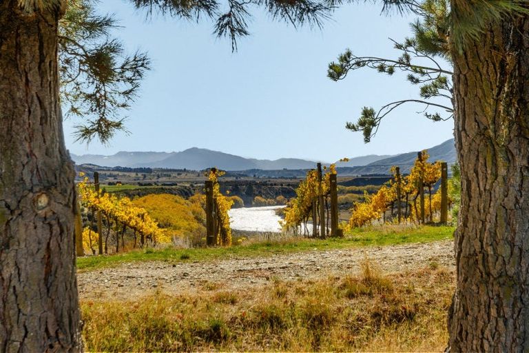 Photo of property in 1290 Luggate - Tarras Road, Tarras, Cromwell, 9383