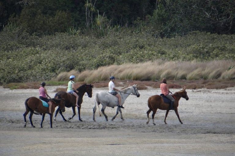 Photo of property in 109 Okura River Road, Okura, Auckland, 0792
