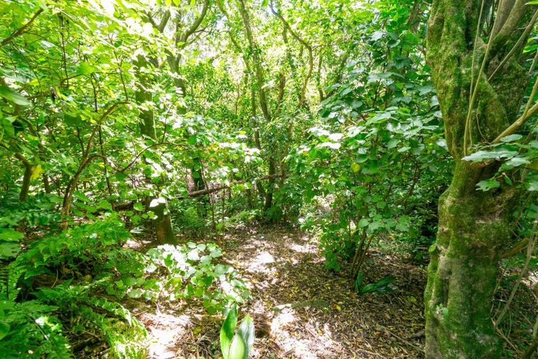 Photo of property in 8 Makererua Street, Ngaio, Wellington, 6035