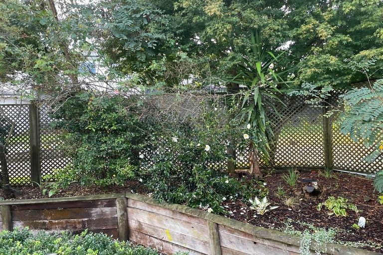 Photo of property in 8a Hall Street, Cambridge, 3434