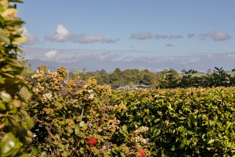 Photo of property in 16 Margaret Drive, Omokoroa, 3114