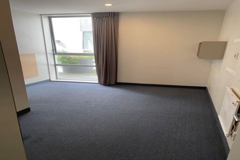 Photo of property in Hanson House, 27u2 Hanson Street, Mount Cook, Wellington, 6021