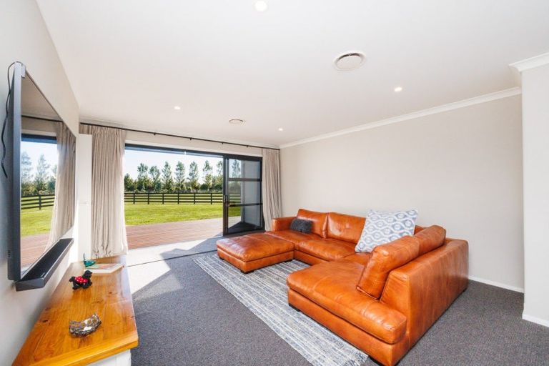 Photo of property in 79 Jackeytown Road, Tiakitahuna, Palmerston North, 4477