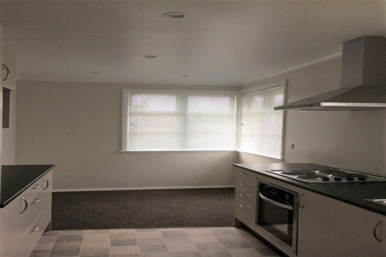 Photo of property in 39 Middlesex Street, Levin, 5510