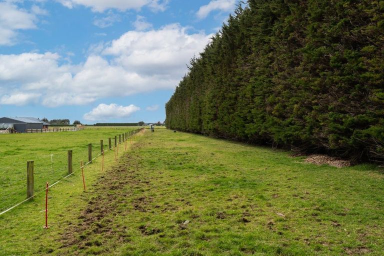 Photo of property in 293 Staunton Road, West Plains, Invercargill, 9879