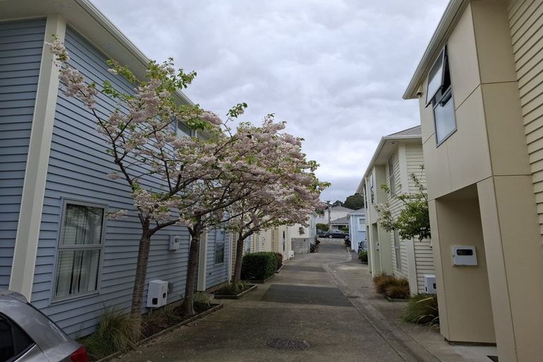 Photo of property in 44u7 Owen Street, Newtown, Wellington, 6021