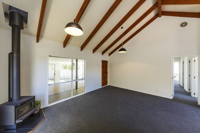 Photo of property in 19 Peppertree Glade, Kelvin Grove, Palmerston North, 4414