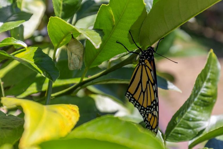 Photo of property in 2 Kanawa Street, Waikanae, 5036