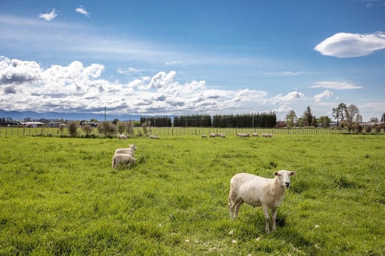 Photo of property in 162 Taylor Road, Ongaonga, 4278