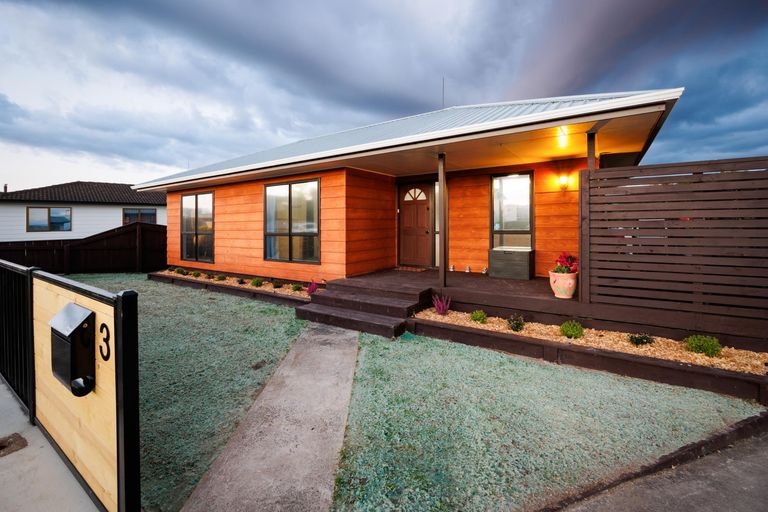 Photo of property in 3 Belk Place, Feilding, 4702