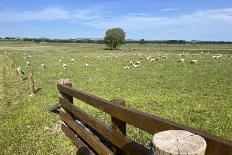 Photo of property in 96 Farm Road, Waipukurau, 4284