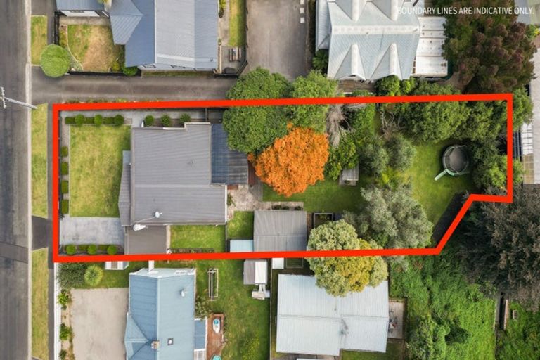 Photo of property in 80 Rimu Street, Maeroa, Hamilton, 3200