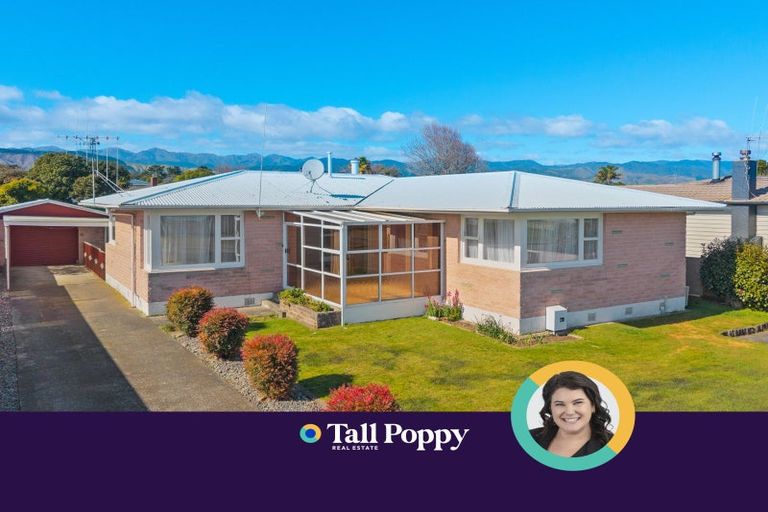 Photo of property in 46 Featherston Street, Levin, 5510