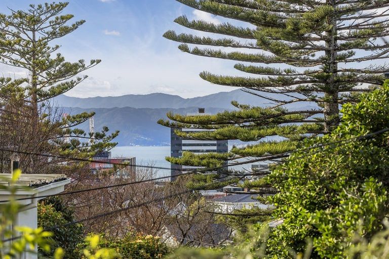 Photo of property in 20 Upton Terrace, Thorndon, Wellington, 6011