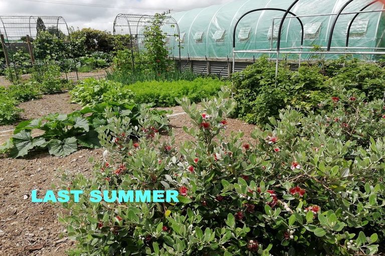 Photo of property in 22 Ferry Street, Wyndham, 9831