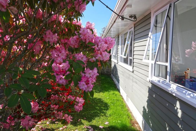 Photo of property in 28 Brecon Road, Stratford, 4332