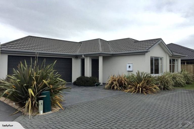 Photo of property in 62 Mahlet Street, Northwood, Christchurch, 8051