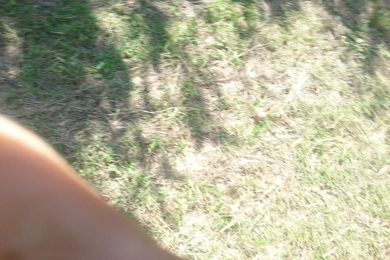 Photo of property in 88 Mark Road, Te Puke, 3188