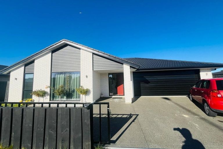 Photo of property in 55 Lowes Road, Rolleston, 7614