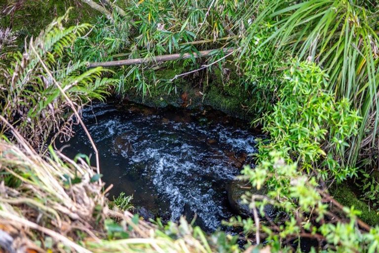 Photo of property in 75 Riddell Road, Kerikeri, 0230