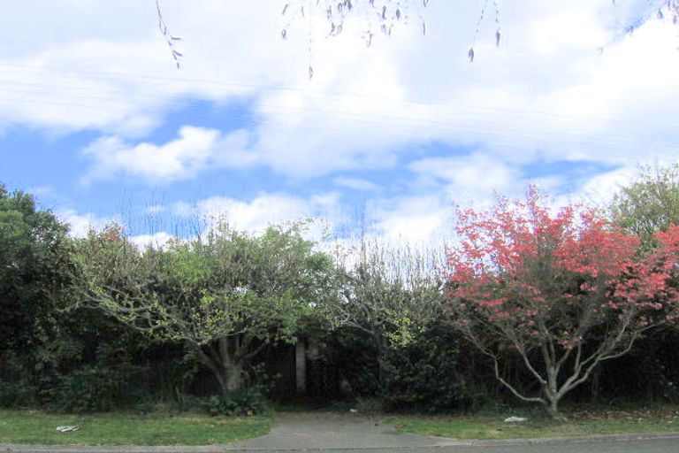 Photo of property in 57 Shepherd Road, Waipahihi, Taupo, 3330