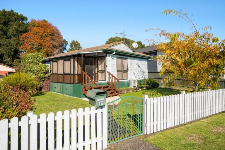 Photo of property in 17 Hibiscus Avenue, Hamilton Lake, Hamilton, 3204
