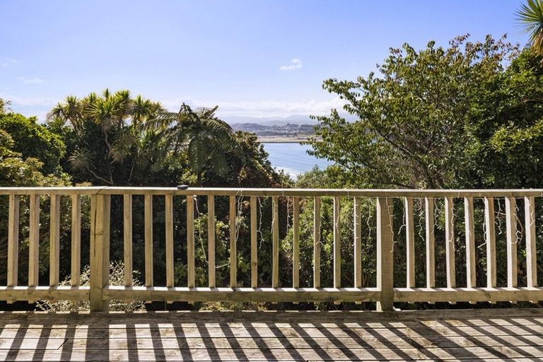 Photo of property in 115 Hornsey Road, Melrose, Wellington, 6023