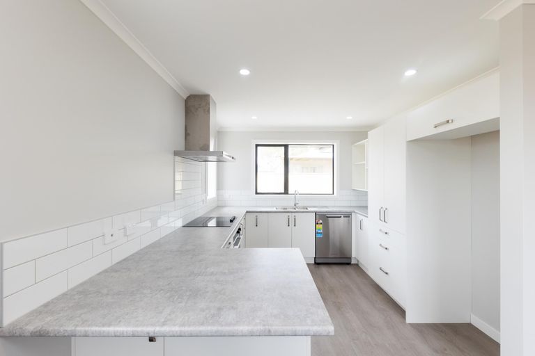 Photo of property in 17 Winchester Street, Levin, 5510