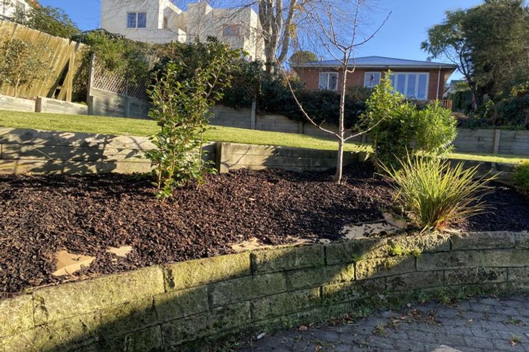 Photo of property in 19 Falkland Street, Maori Hill, Dunedin, 9010