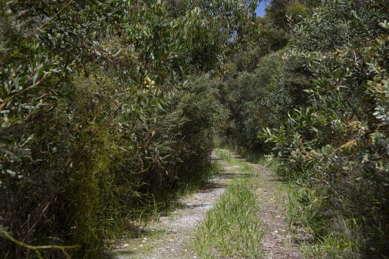 Photo of property in 18 Kauere Road, Houhora, Pukenui, 0484