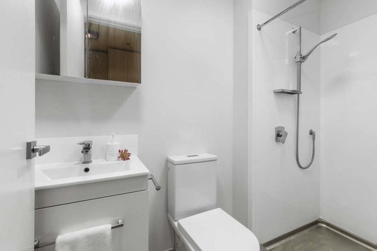 Photo of property in Vedado Apartments, 208/41u Hopper Street, Mount Cook, Wellington, 6011