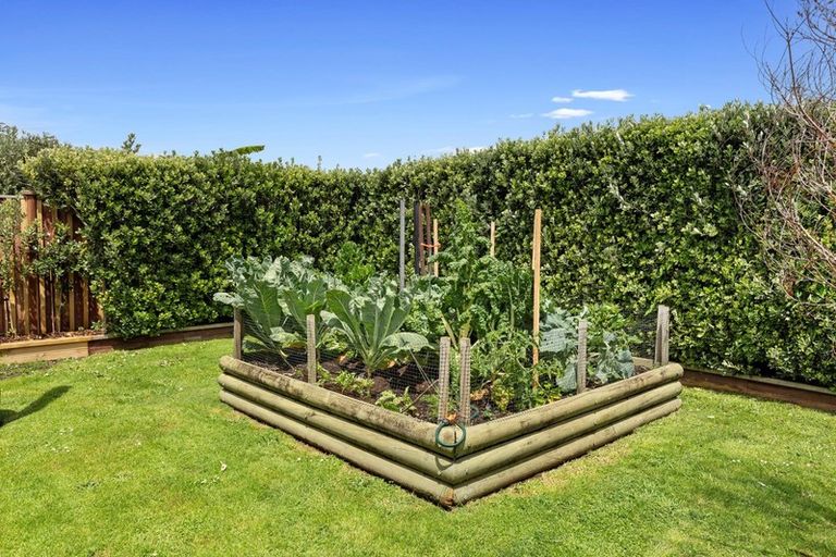 Photo of property in 171 Sandwich Road, St Andrews, Hamilton, 3200