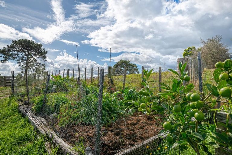 Photo of property in 139 Ostrich Farm Road, Pukekohe, 2676