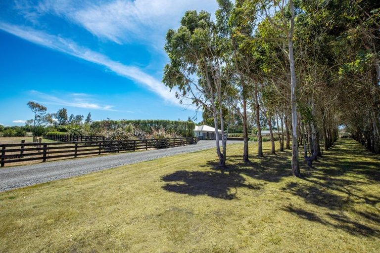 Photo of property in 243c Racecourse Road, Waipukurau, 4282