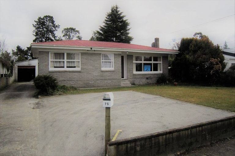 Photo of property in 75 Bruce Avenue, Glenview, Hamilton, 3206