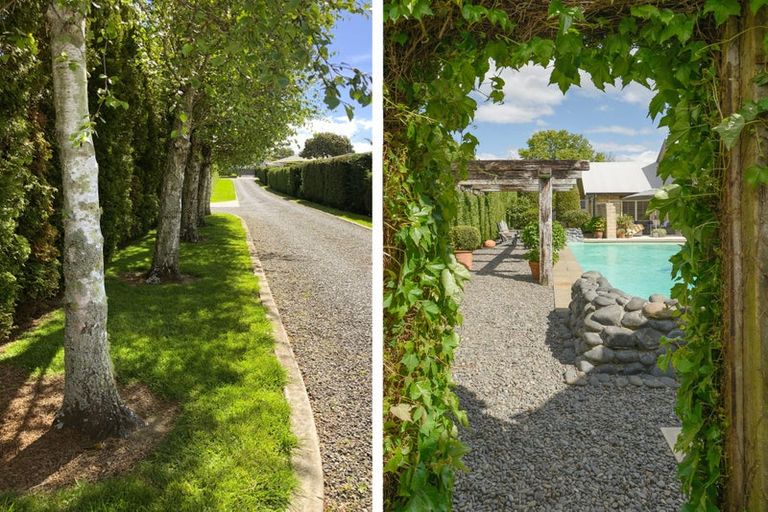 Photo of property in 41a Hollister Lane, Ohauiti, Tauranga, 3112