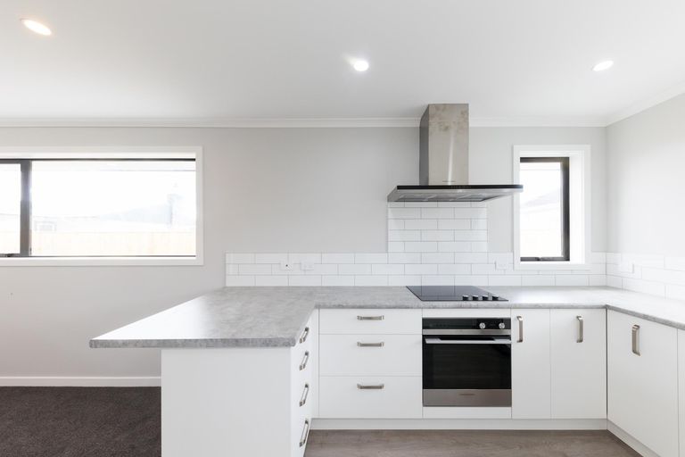 Photo of property in 17 Winchester Street, Levin, 5510