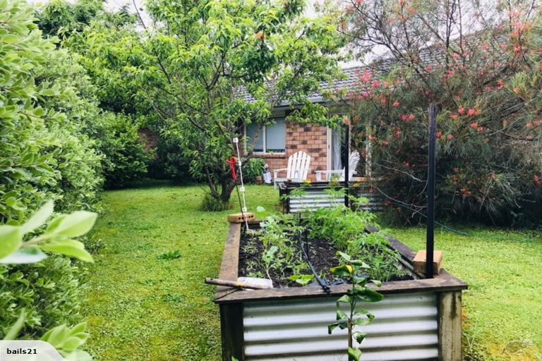 Photo of property in 12 Maple Place, Morrinsville, 3300