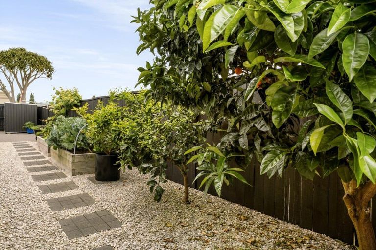 Photo of property in 134 Palm Beach Boulevard, Papamoa Beach, Papamoa, 3118
