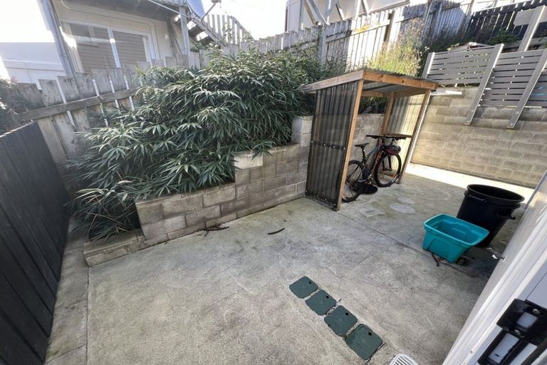 Photo of property in 239u6 Adelaide Road, Newtown, Wellington, 6021