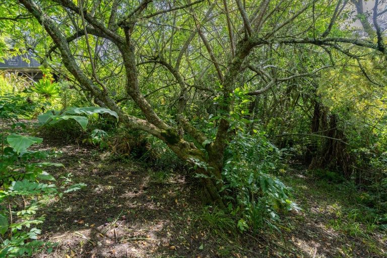 Photo of property in 24 Cross Street, Raglan, 3225