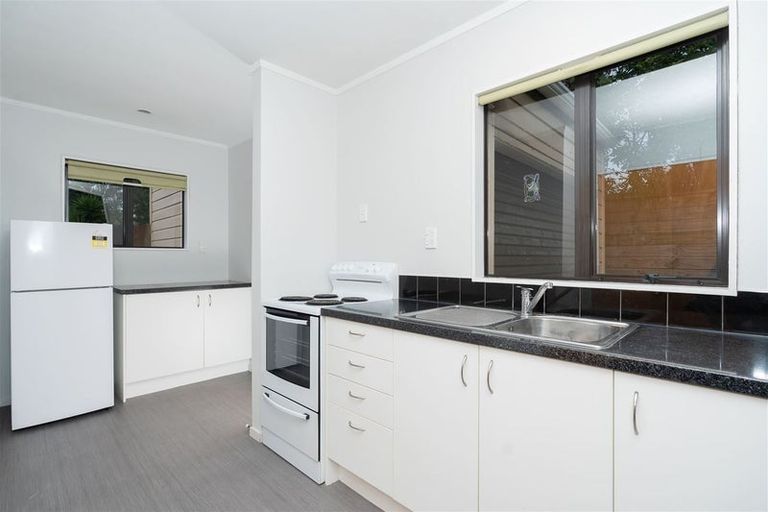 Photo of property in 208a Nixon Street, Hamilton East, Hamilton, 3216