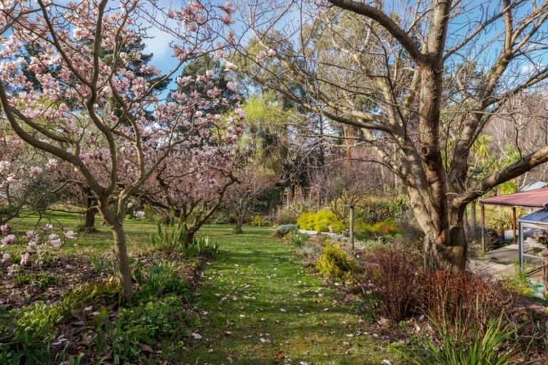 Photo of property in 232 Ripponvale Road, Cromwell, 9384